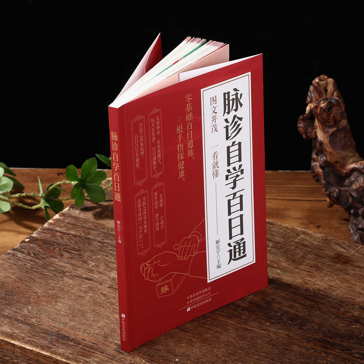 맥박 진단 자율 학습 100일 과정, 전통 중국 의학  - Health & Wellness Resources 리뷰 및 가격